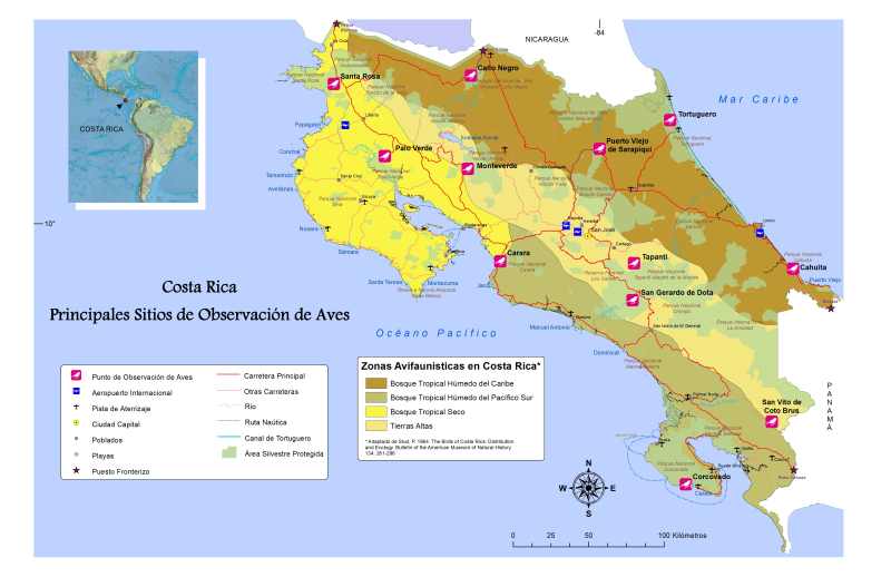 Route Costa Rica Vogelbeobachtung