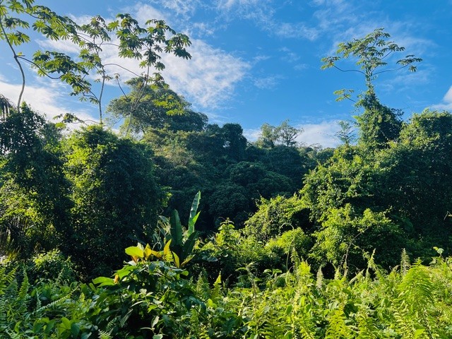 Costa Rica Familienreise